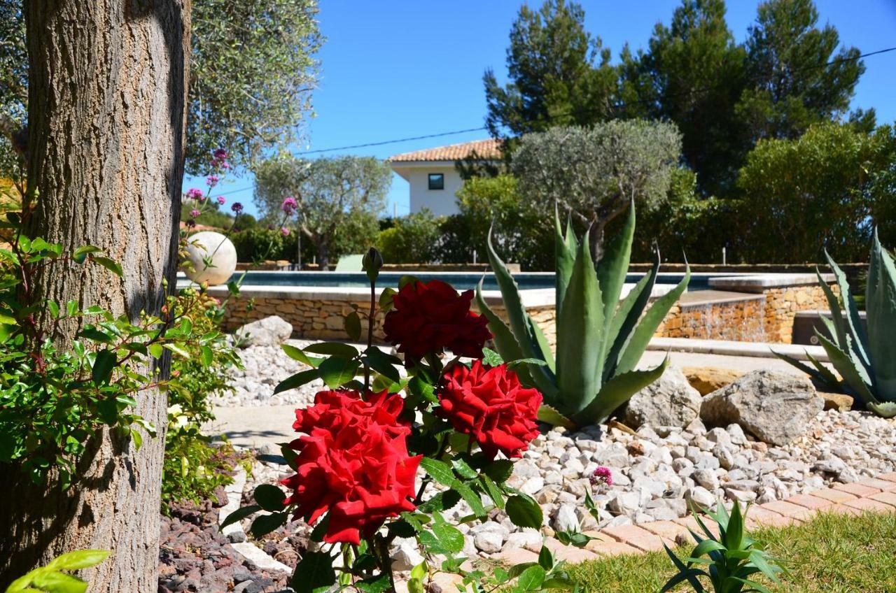 Appartements Du Jas De Clare La Cadiere-d'Azur Exterior photo